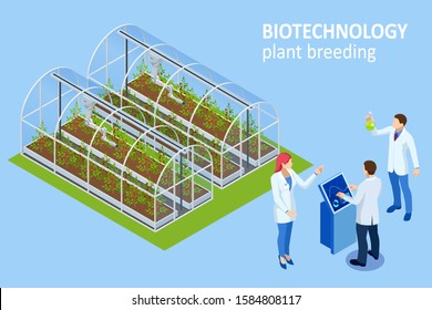 Isometric concept of laboratory exploring new methods of plant breeding and agricultural genetics. Vegetable hydroponic system, agriculture in the greenhouse organic for health food