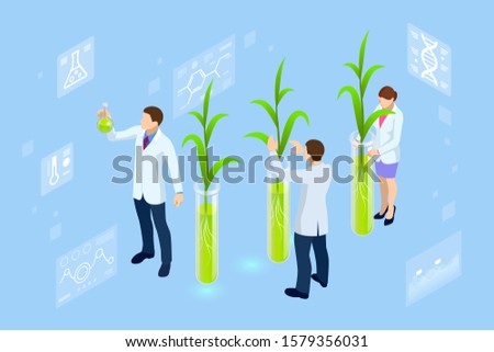 Isometric concept of laboratory exploring new methods of plant breeding and agricultural genetics. Plants growing in the test tubes.