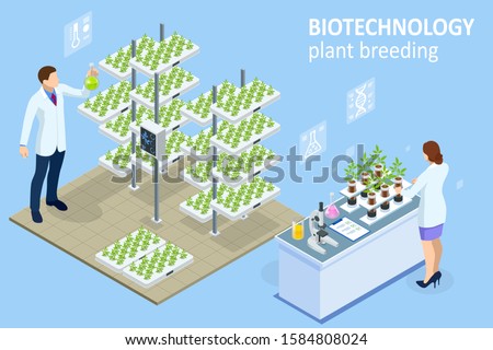 Similar – Image, Stock Photo Plant breeding seedlings