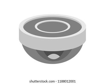 isometric concepts of CCTV cameras, vector illustrations