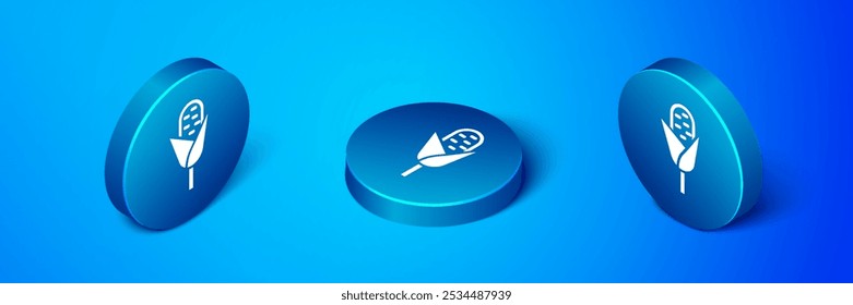 Isometric Corn icon isolated on blue background. Blue circle button. Vector