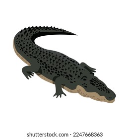 Isometric crocodile against white background 3d vector illustration