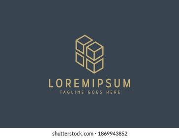 isometric cubes logo design. illustration of isometric. vintage logo design with line art icon style.