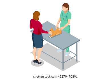 Isometric customers with cat visit the veterinary clinic. Services and services in veterinary clinics. Expert vet with a stethoscope examining a cat check on pet hospital