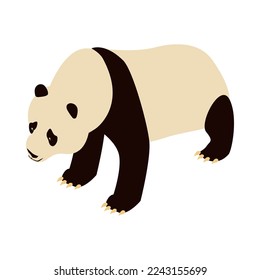 Isometric cute panda on white background 3d vector illustration