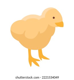 Isometric cute yellow chick on white background 3d vector illustration