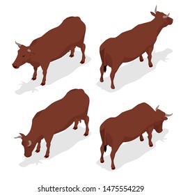 Isometric dairy cattle set. Cows collection. Isolated on white background.