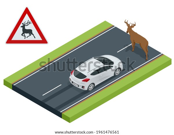 Isometric deer crosses the road in front of the\
car, danger of collision, wild animals on the road, accident,\
danger wildlife collision\
concept