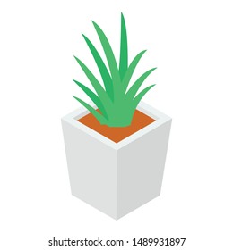 Isometric design icon of aloe vera 