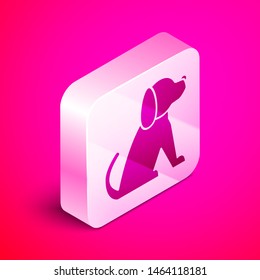 Isometric Dog icon isolated on pink background. Silver square button. Vector Illustration