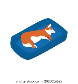 Composición de servicio de caminador de perro isotípico con perro corgi durmiendo en la ilustración del vector cama