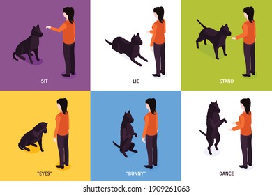 Isometric Dog Training Design Concept Six Stock Vector (Royalty Free) 1909261063 | Shutterstock
