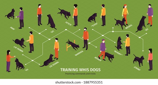 Isometric dog training infographics with flowchart of dogs exercises with characters of their masters and text vector illustration