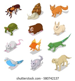 Isometric Domestic Animals Pets with Cat, Dog, Hamster and Rabbit. Vector 3d flat illustration