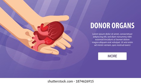 Isometric donor human organs horizontal banner with hands holding anatomic heart and text with more button vector illustration