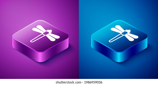Icono de la libélula isométrica aislado en fondo azul y púrpura. Botón cuadrado. Vector