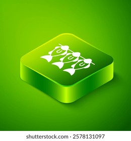 Isometric Dried fish icon isolated on green background. Green square button. Vector