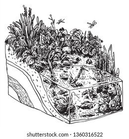isometric ecosystem natural garden and pond with soil layer for education line art illustration cartoon black and white hand drawn