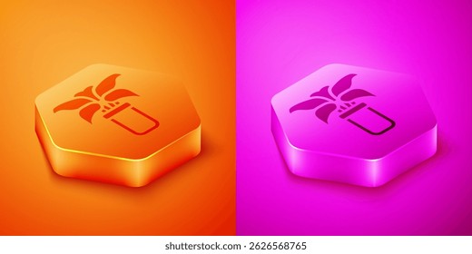 Isometric Exotic tropical plant in pot icon isolated on orange and pink background. Hexagon button. Vector