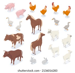 Isometric farm animals, 3d pig, cow, chicken, goat and horse. Agricultural farm animals and birds, dog and ship vector illustration set. Farm domestic animals cow and pig isometric, chicken 3d