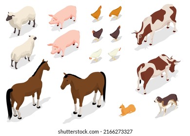 Isometric Farm Animals Collection Isolated on White. Sheep, Pig, Chicken, Rooster, Cow and Horse