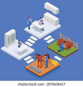 Isometric farm animals veterinary composition abstract stairs and rooms with vaccination cabinets and doctors offices vector illustration