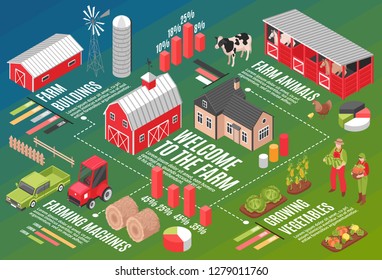 Isometric farm horizontal flowchart composition with infographic symbols graph icons editable text captions and farmstead images vector illustration