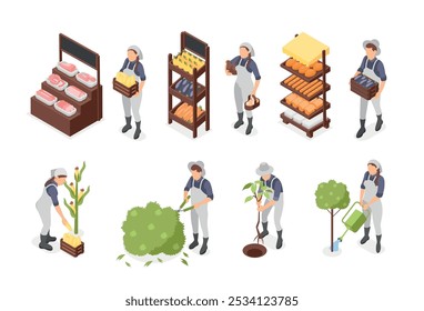 Isometric farm market. Fresh agriculture products on stalls, meat vegetables bakery. Farmers planting, watering and collect harvest, flawless vector set