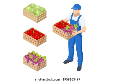 Isometric farmer holding a box with apples and grapes. Farmer with freshly harvested apples in wooden box. Agriculture and gardening concept