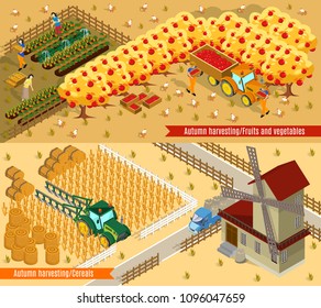 Isometric farming horizontal banners with people mill agricultural vehicles fruit vegetables and wheat harvesting process isolated vector illustration