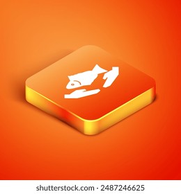 Isometric Fish care icon isolated on orange background.  Vector Illustration