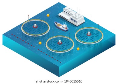 Isometric Fish Farm. Producing Trout And Salmon, Carp, Tilapia, And Catfish. Fish Farming Or Pisciculture Involves Raising Fish Commercially In Tanks Or Enclosures Such As Fish Ponds For Food.