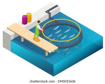Isometric Fish Farm. Producing Trout and Salmon, Carp, Tilapia, and Catfish. Fish farming or pisciculture involves raising fish commercially in tanks or enclosures such as fish ponds for food.