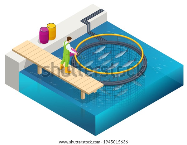 Isometric Fish Farm. Producing Trout and Salmon,\
Carp, Tilapia, and Catfish. Fish farming or pisciculture involves\
raising fish commercially in tanks or enclosures such as fish ponds\
for food.