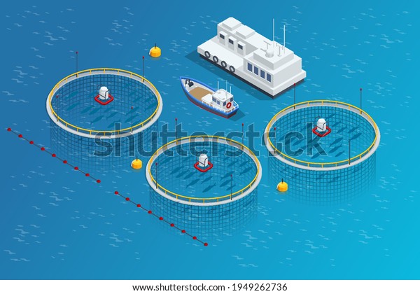 Isometric Fish industry\
seafood concept. Commercial fishing. Sea fishing, ship marine\
industry, fish boat.