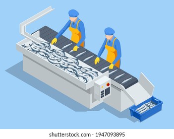 Isometric Fish Industry Seafood Production, Sorting Fish Concept. Presale Preparation.