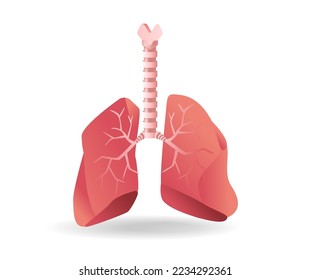 Isometric flat 3d illustration of anatomy concept of esophagus to lungs