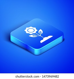 Isometric Flower icon isolated on blue background. Blue square button. Vector Illustration