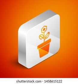 Isometric Flower in pot icon isolated on orange background. Plant growing in a pot. Potted plant sign. Silver square button. Vector Illustration
