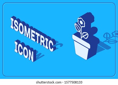 Isometric Flower in pot icon isolated on blue background. Plant growing in a pot. Potted plant sign.  Vector Illustration