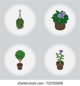Isometric Flower Set Of Flower, Blossom, Flowerpot And Other Vector Objects. Also Includes Plant, Hanging, Blossom Elements.