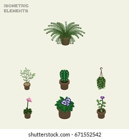 Isometric Flower Set Of Fern, Flowerpot, Blossom And Other Vector Objects. Also Includes Pot, Blossom, Peyote Elements.