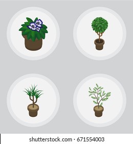 Isometric Flower Set Of Fern, Tree, Houseplant And Other Vector Objects. Also Includes Flowerpot, Houseplant, Botany Elements.