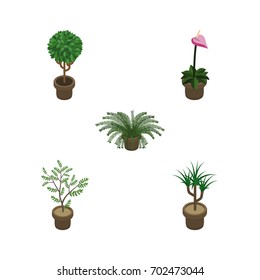 Isometric Flower Set Of Fern, Tree, Houseplant And Other Vector Objects. Also Includes Flower, Pot, Flowerpot Elements.