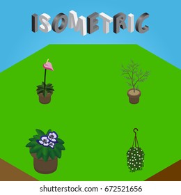 Isometric Flower Set Of Flowerpot, Grower, Blossom And Other Vector Objects. Also Includes Blossom, Houseplant, Hanging Elements.