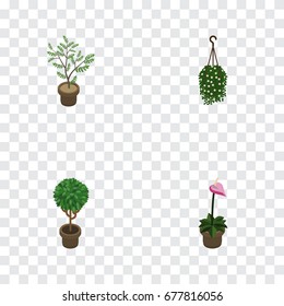 Isometric Flower Set Of Grower, Blossom, Fern And Other Vector Objects. Also Includes Blossom, Flower, Flowerpot Elements.