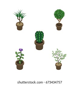 Isometric Flower Set Of Houseplant, Tree, Flower And Other Vector Objects. Also Includes Botany, Cactus, Pot Elements.