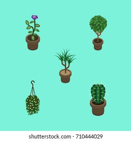 Isometric Flower Set Of Peyote, Blossom, Houseplant And Other Vector Objects. Also Includes Cactus, Flowerpot, Hanging Elements.