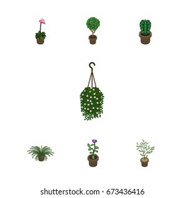 Isometric Flower Set Of Plant, Peyote, Blossom And Other Vector Objects. Also Includes Plant, Cactus, Hanging Elements.