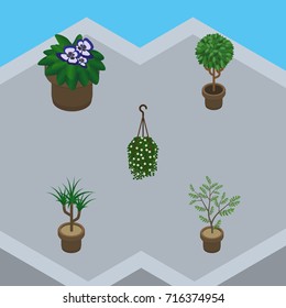 Isometric Flower Set Of Tree, Fern, Blossom And Other Vector Objects. Also Includes Plant, Flower, Houseplant Elements.